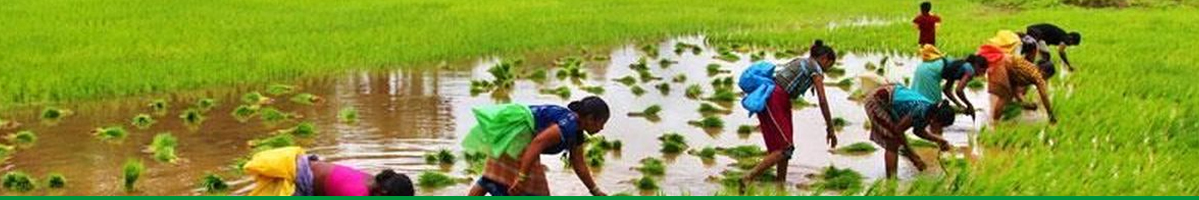 PKVY Scheme & Organic Farming